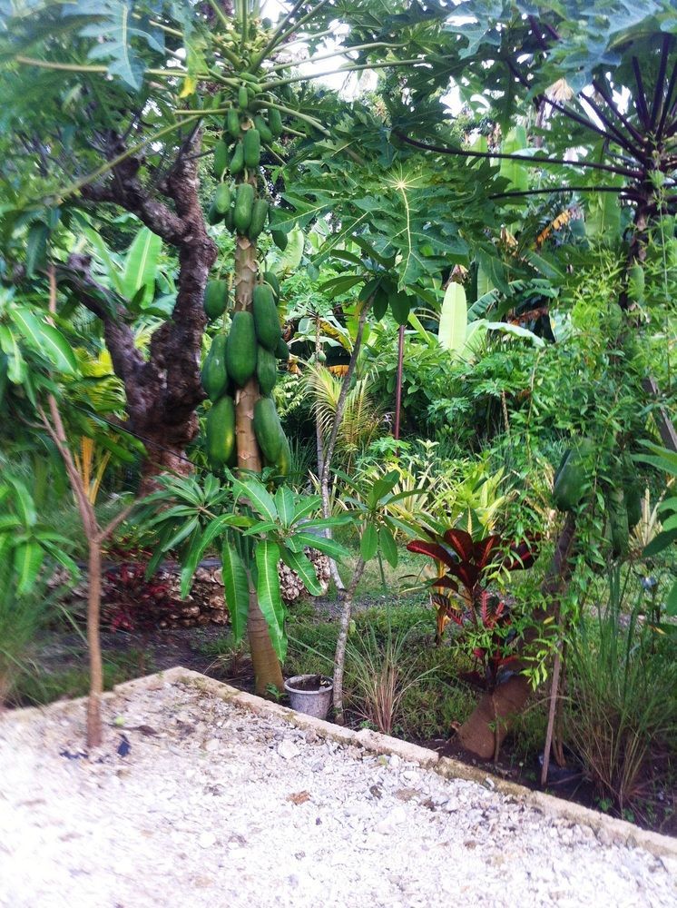 Villa Green House Ped Exterior foto